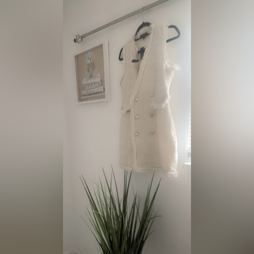 T R I X X I Double-Breasted Tweed Fringe Vest Dress.